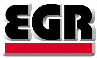 Амортизатор кришки багажного відсіку EGR